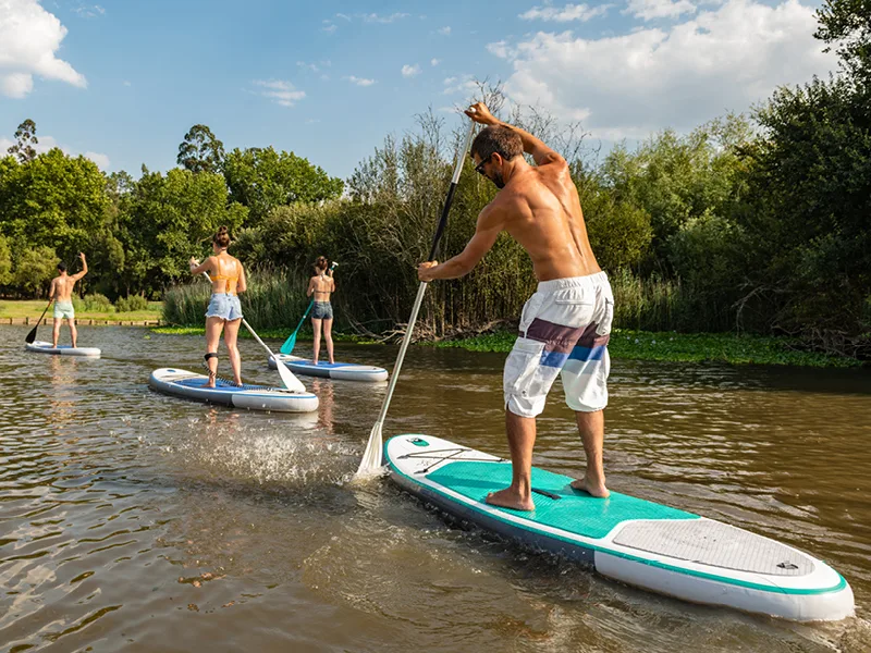 Paddleboards