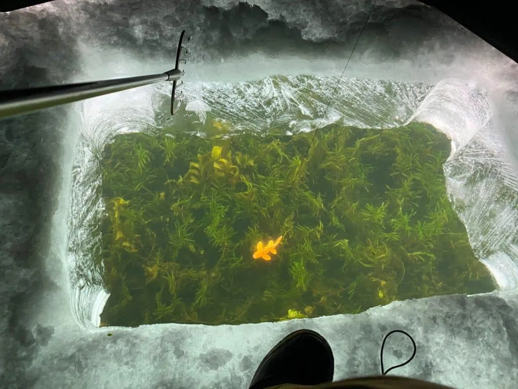 Spearinghole 1024x768