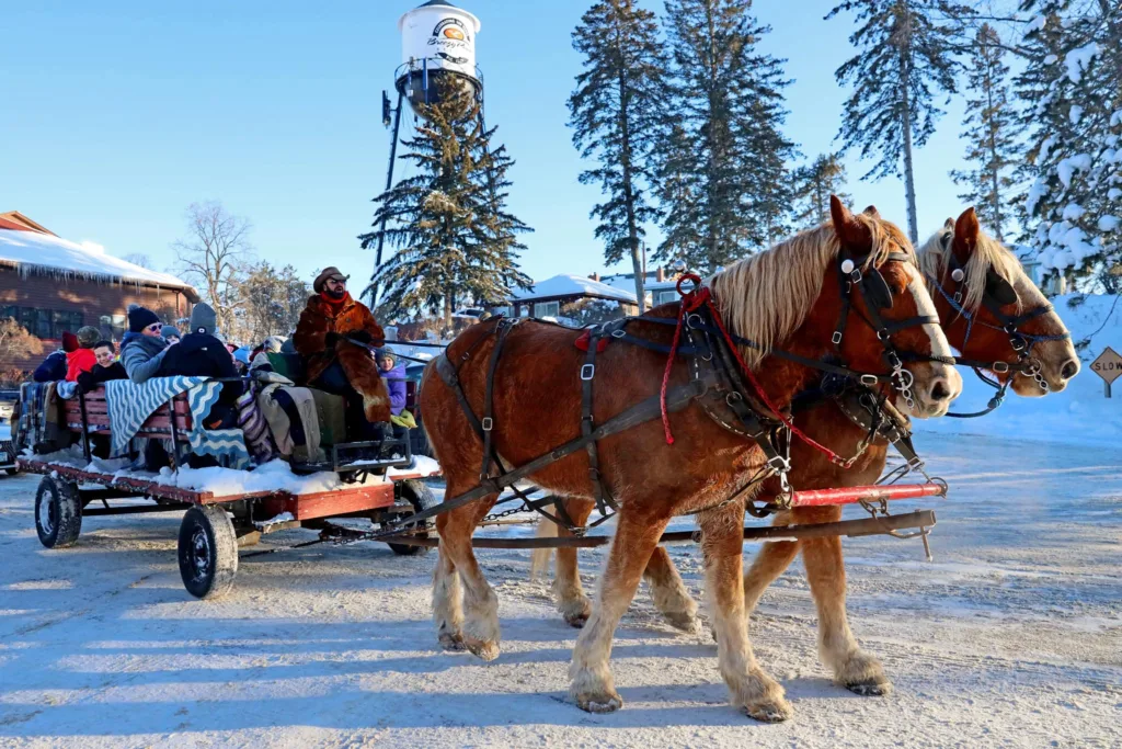 Brainerd Dispatch 2022